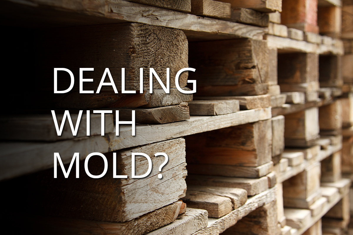 How to Prevent Mold on Wood 