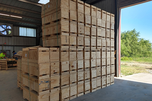 pallets crates wood packaging