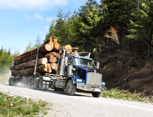 Fuel and Lumber – Is There a Clear Connection?