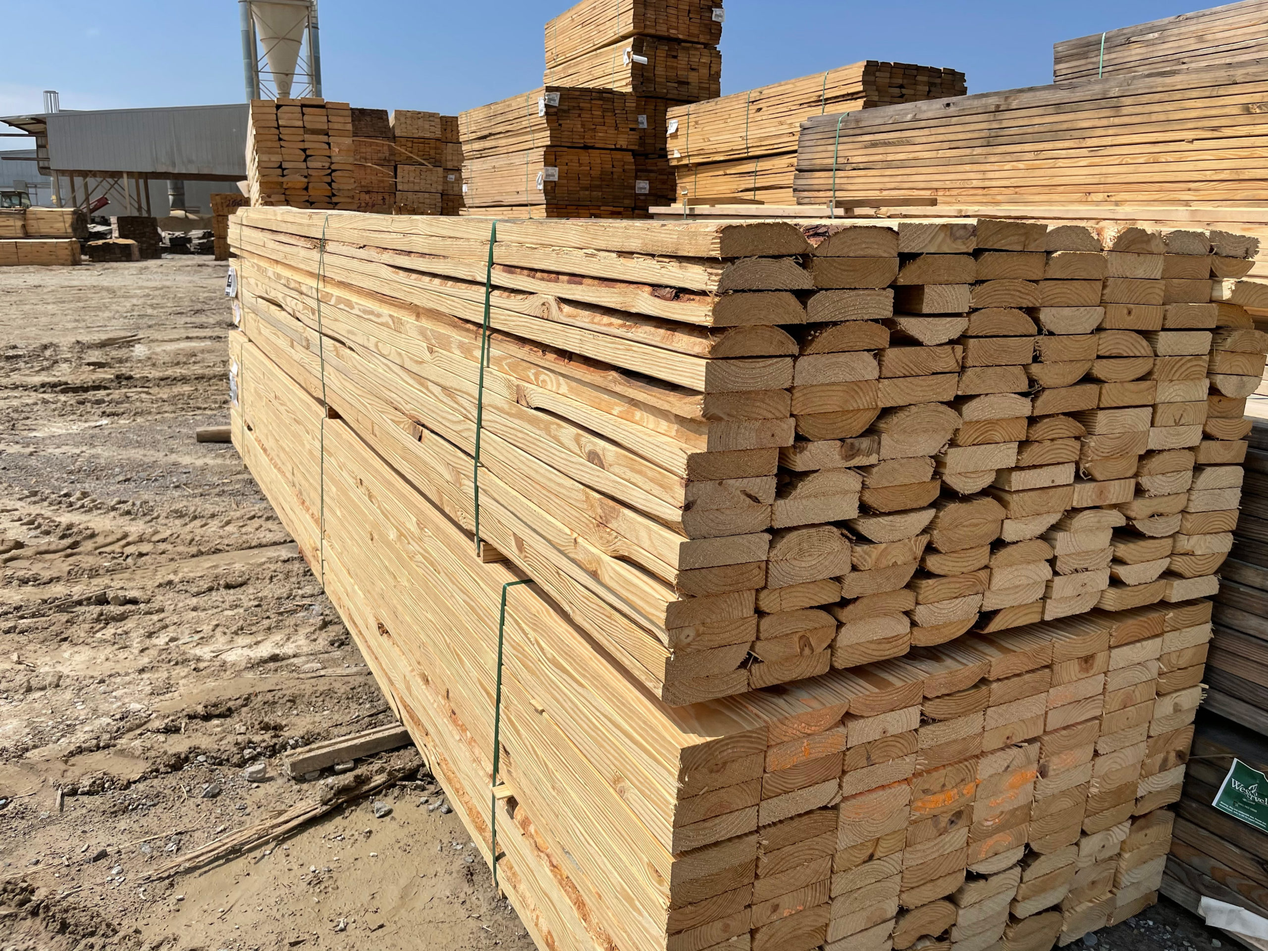 ugly-lumber-3