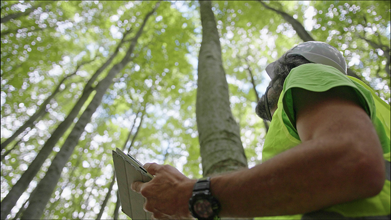 View of Sustainable Solutions | Conner Industries