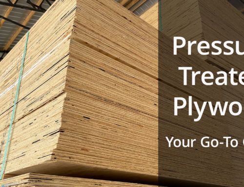 Pressure Treated Plywood: Your Go-To Guide for All You Need to Know