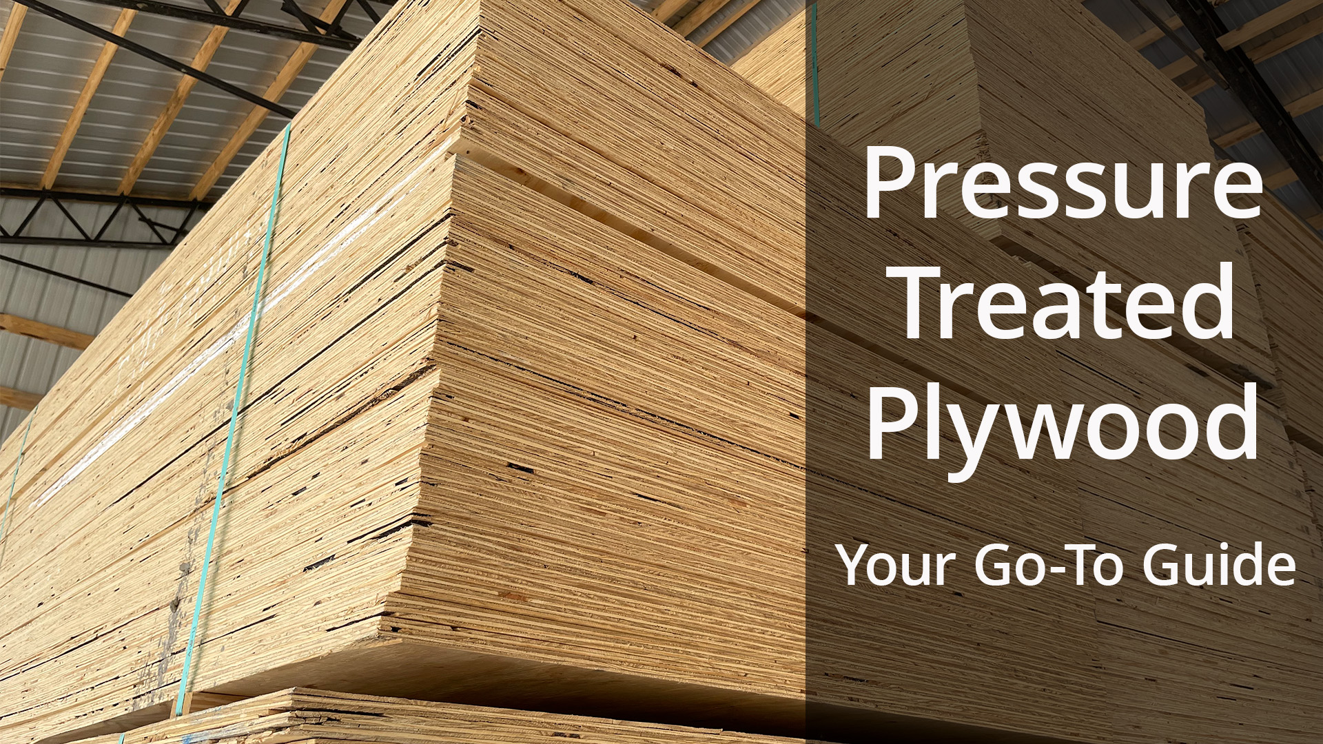 Pressure Treated Plywood
