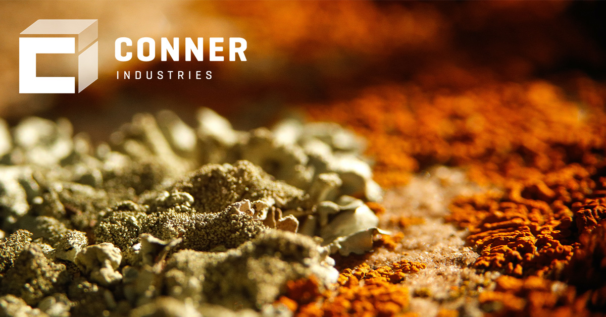 The Creepy Truth About Orange Mold Conner Industries