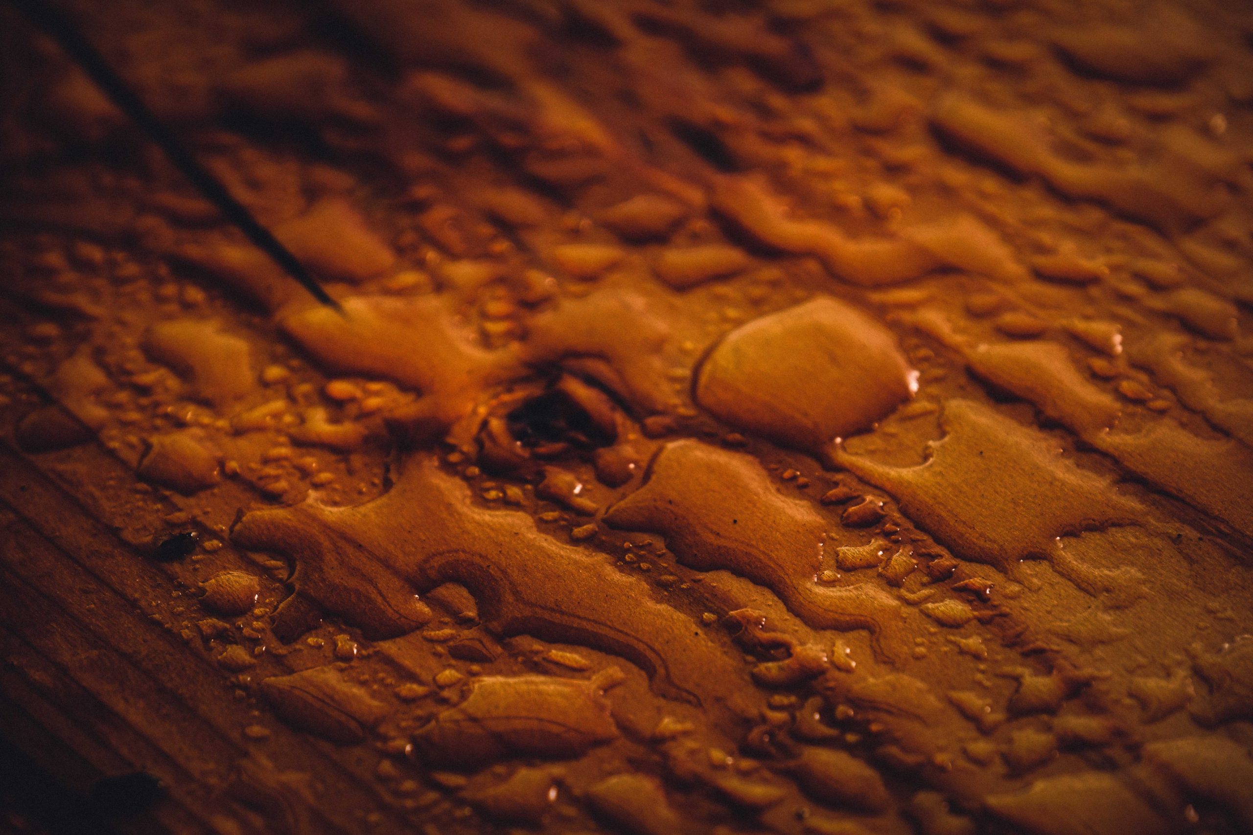 Wet Lumber